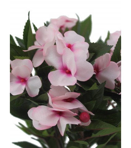 Balsamine artificielle rose