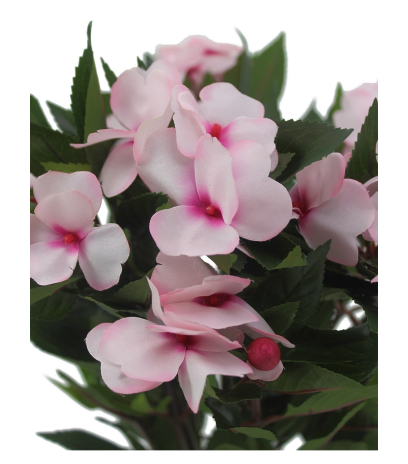 Balsamine artificielle rose
