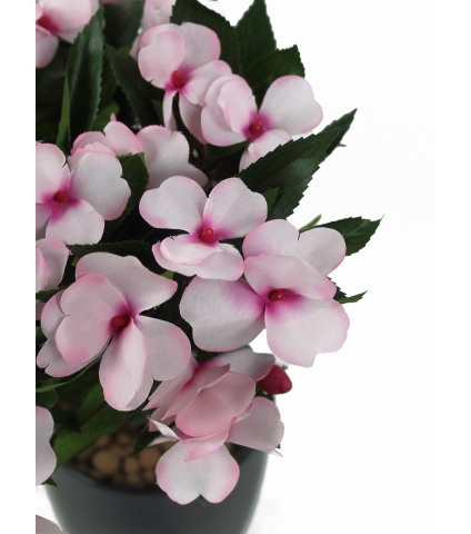 Balsamine artificielle rose