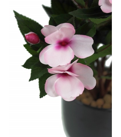 Balsamine artificielle rose