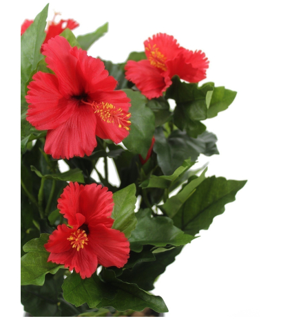 Hibiscus artificiel rouge