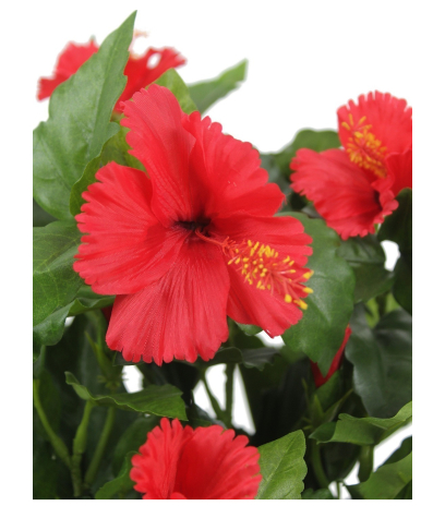 Hibiscus artificiel rouge