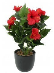Hibiscus artificiel rouge