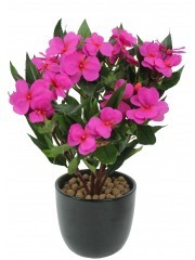 Impatiens artificielle mauve