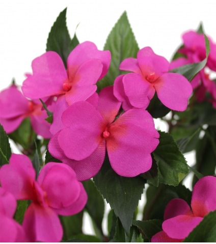 Impatiens artificielle mauve