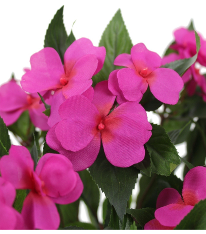 Impatiens artificielle mauve