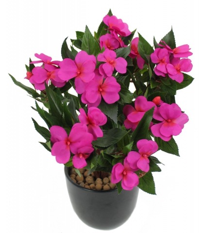 Impatiens artificielle mauve