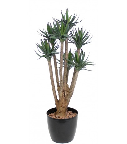 Agave artificiel à sept têtes