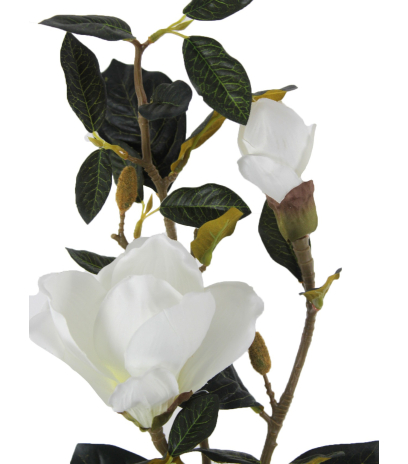 Rameau de magnolia artificiel blanc