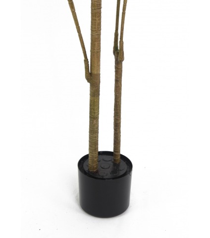 Pot