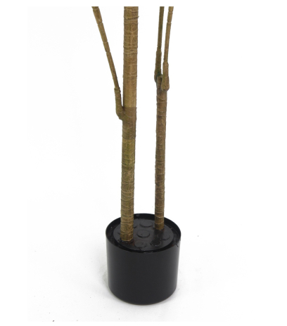 Pot