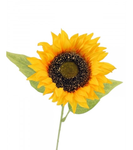Tournesol artificiel