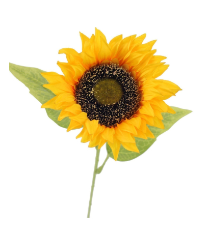 Tournesol artificiel