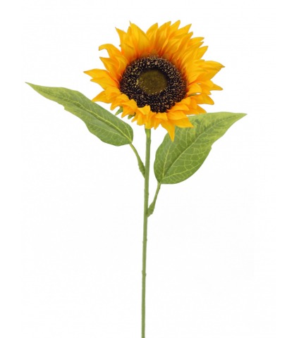 Tournesol artificiel
