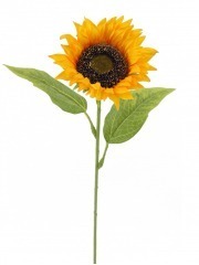 Tournesol artificiel