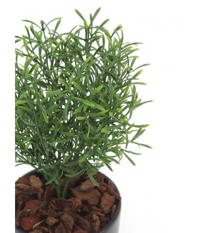 Arbre à thé artificiel