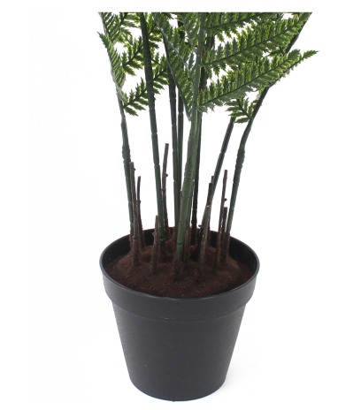 Pot