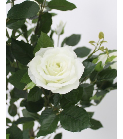 Grand rosier blanc artificiel