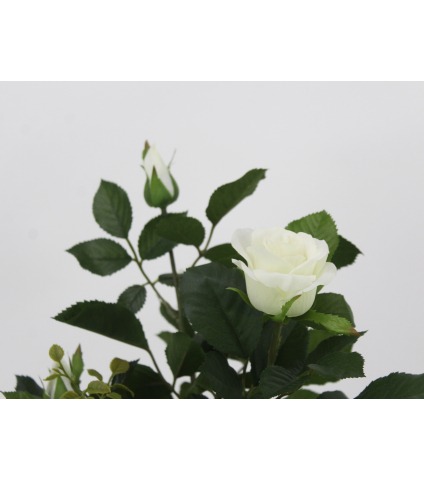 Grand rosier blanc artificiel