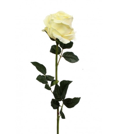 Rose ancienne artificielle