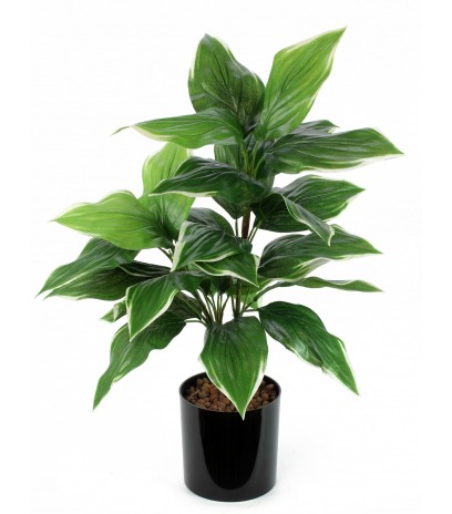 Grand hosta artificiel vert