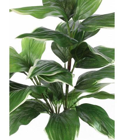 Grand hosta artificiel vert