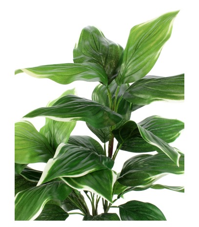 Grand hosta artificiel vert