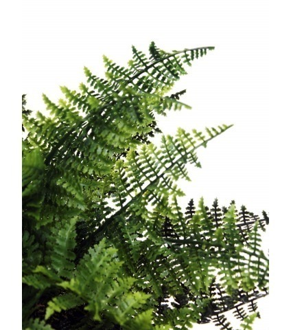 Fougère artificielle bosquet