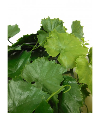 Plaque de vigne artificielle