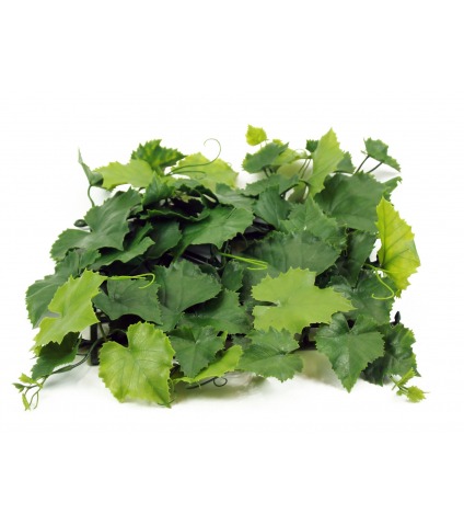 Plaque de vigne artificielle