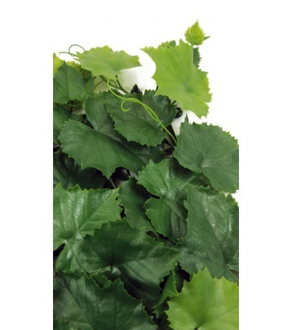 Plaque de vigne artificielle