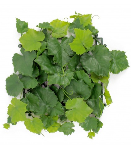 Plaque de vigne artificielle