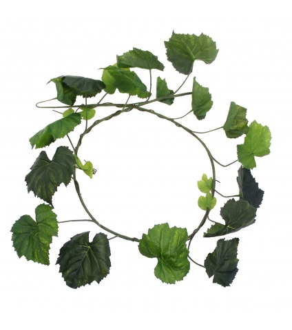 Guirlande de vigne vierge