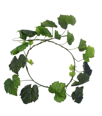 Guirlande de vigne vierge