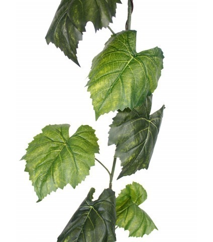 Guirlande de vigne vierge