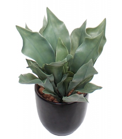 Fougère artificelle platycerium