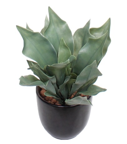 Fougère artificelle platycerium