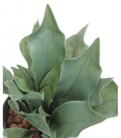 Fougère artificelle platycerium