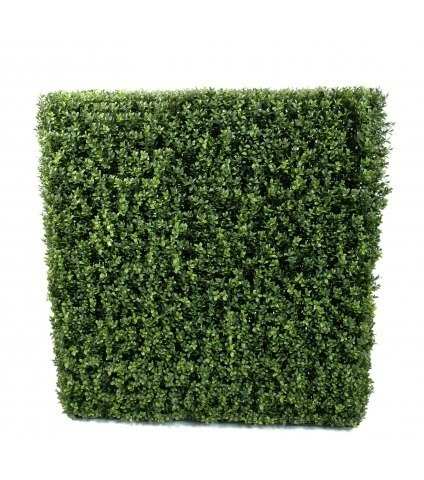 Haie de buis commun artificiel