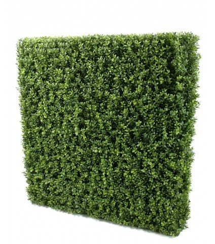Haie de buis commun artificiel
