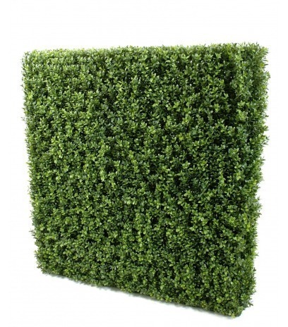 Haie de buis commun artificiel