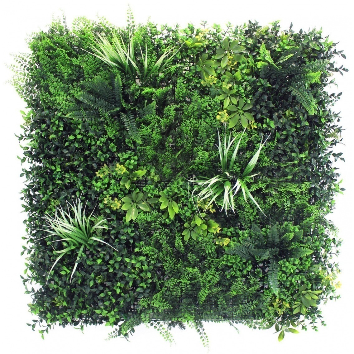 Mur végétal artificiel équateur