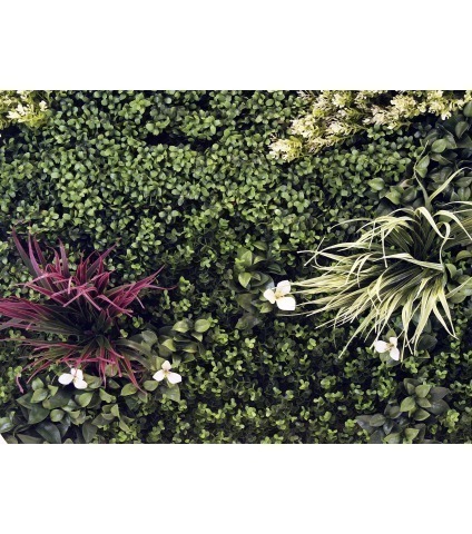 Plaque artificielle nature vierge