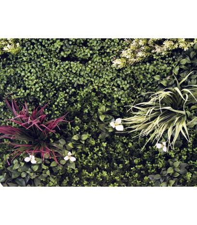Plaque artificielle nature vierge