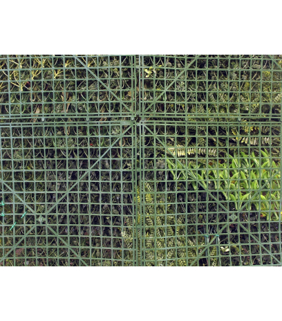 Mur végétal artificiel jungle