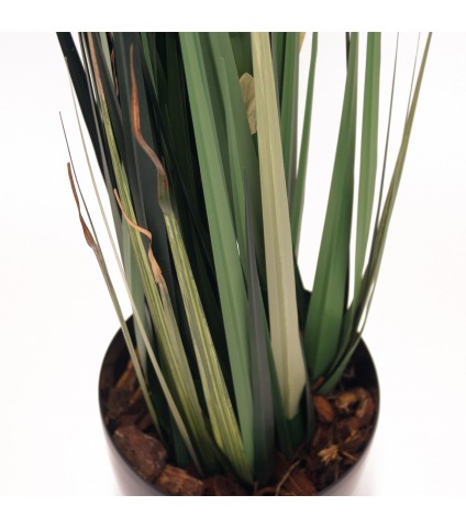 Herbe des étangs artificielle