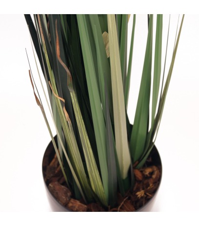 Herbe des étangs artificielle