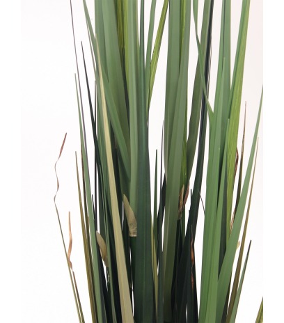 Herbe des étangs artificielle