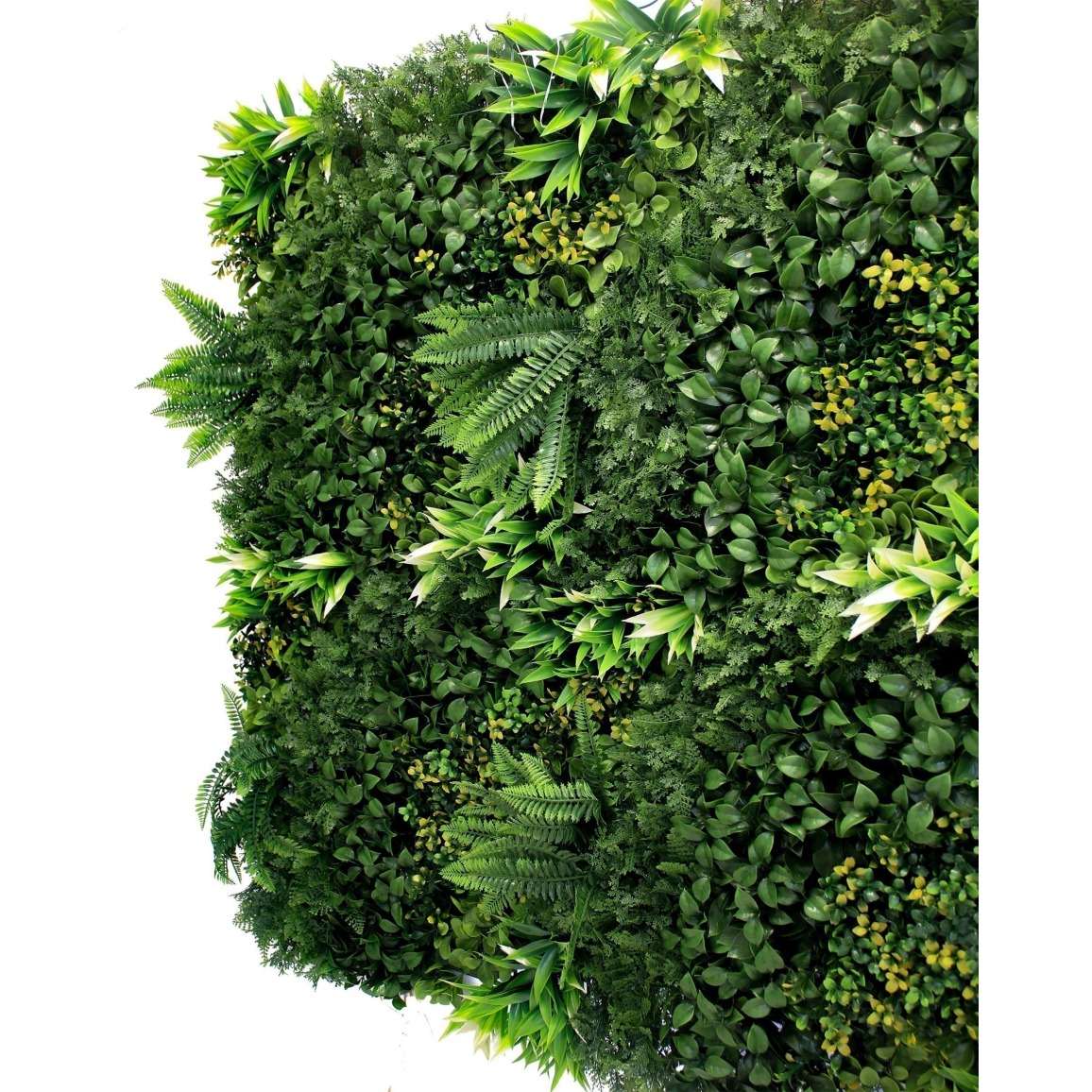 Sitemapcdatahttpkniqoocommur Vegetal Artificiel Castoramanull