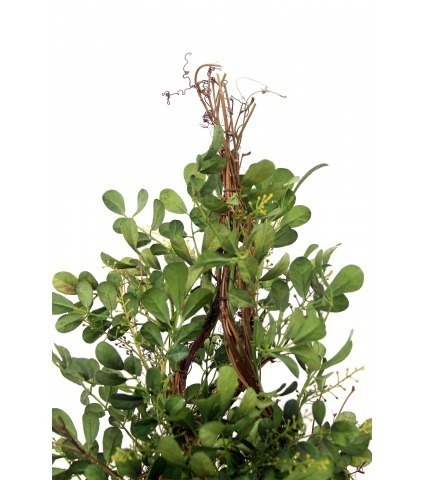 Buis artificiel torsadé